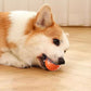 🎁Pelota interactiva Smart Pet Bounce🐶