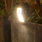 🔥【1° Más Vendido】🔥2026 Hot Sale - 50% Off🔥Outdoor Solar Clip Light with Motion Sensor