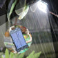 🔥【1° Más Vendido】🔥2026 Hot Sale - 50% Off🔥Outdoor Solar Clip Light with Motion Sensor