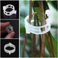 Clips de Plástico para Soporte de Plantas