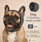 🐶 50% dto. Gorro protector para perros – reduce ruidos, impermeable y de neopreno premium. Protege orejas y calma a tu mascota todo el año! ✨🌊