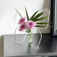 🔥 Florero Decorativo Transparente Inspirado en Mariposas