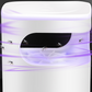 ⏳Oferta por tiempo limitado🦟 Trampa para moscas UV con caja de captura transparente
