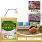 ⏳¡50% DESCUENTO – Último Día! 🌿🛡️ Bolsita Natural Antiácaros – Avalada en EE.UU. • 100% Sin Químicos • Segura para Bebés, Mascotas y Asmáticos 🛏️✨