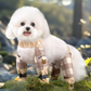 🐕 ¡50% DE DESCUENTO! 🌿 Pantalones antipolvo para perros: transpirables, lavables y ajustables para exteriores ✨
