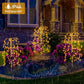 🌈 Oferta por tiempo limitado: Luces solares para jardín y decoración exterior.