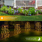 🌈 Oferta por tiempo limitado: Luces solares para jardín y decoración exterior.
