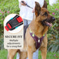 ⏰🔥 ¡50% OFF POR TIEMPO LIMITADO! 🐶 Arnés Anti-Tirón con Correa y LED – Paseos Seguros y Cómodos, ¡Tu Perro Feliz y Visible de Noche! ✨🌙