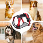 ⏰🔥 ¡50% OFF POR TIEMPO LIMITADO! 🐶 Arnés Anti-Tirón con Correa y LED – Paseos Seguros y Cómodos, ¡Tu Perro Feliz y Visible de Noche! ✨🌙