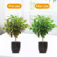 Solución universal de nutrientes para plantas | Raíces fuertes, suelo saludable, crecimiento mejorado