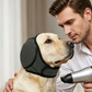 🐶 50% dto. Gorro protector para perros – reduce ruidos, impermeable y de neopreno premium. Protege orejas y calma a tu mascota todo el año! ✨🌊