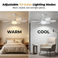 Ventilador de techo LED refrigerante 2 en 1