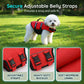 🐶🌊 Chaleco Salvavidas Perro Alta Flotabilidad – Colores Brillantes, Seguridad en el Agua y Tranquilidad para Dueños 🛟✨