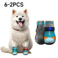 ⏳50% OFF⏰ Zapatos Perro Malla Transpirable – Diseño Luminoso, Protege sus Patitas de Nieve, Calor y Asfalto 🐶✨