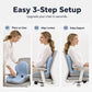 🪑 Cojín de Asiento Ergonómico de Espuma Viscoelástica con Soporte Lumbar – Comodidad Todo el Día, Ideal para Oficina, Auto y Hogar ✨