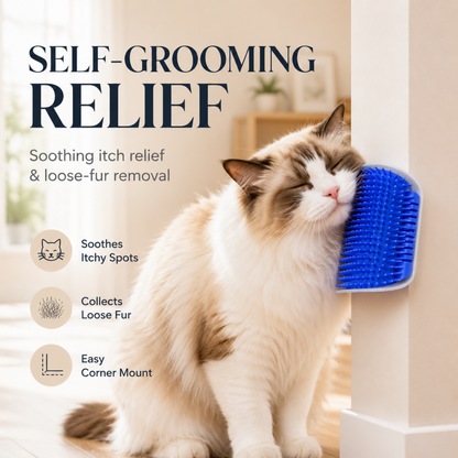 🐱🌿 Rascador Cepillo con Catnip – Tu Gato se Acaricia Solo, Pelo Suave y Menos Bolas de Pelo en Casa ✨🧶