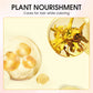 💇‍♀️✨ Pincel Lápiz Nutritivo para Cabello – Cubre Canas y Raíces al Instante, Fórmula con Aceites que Cuida tu Cuero Cabelludo 🌿🎨